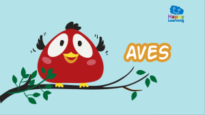 Quiz: Las Aves