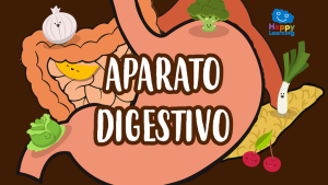 Puzzle: El aparato digestivo