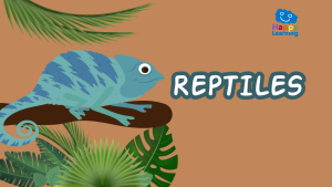 Quiz: The Reptiles|quiz los reptiles parte II