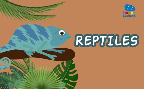 quiz Los reptiles|Quiz Los reptiles