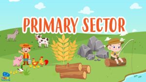 primary sector|el sector primario