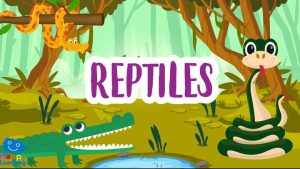 reptiles|The Reptiles|los-reptiles||