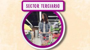 sector terciario|tertiary sector