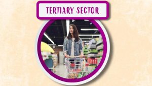 tertiary sector|sector terciario