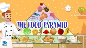 the food pyramid|healthy eating: the new food pyramid|