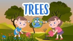 trees|Trees for kids|