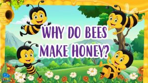 why do bees make honey?|Why do Bees make Honey
