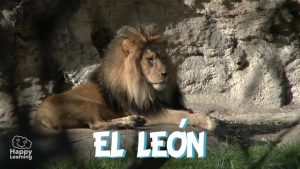 El León