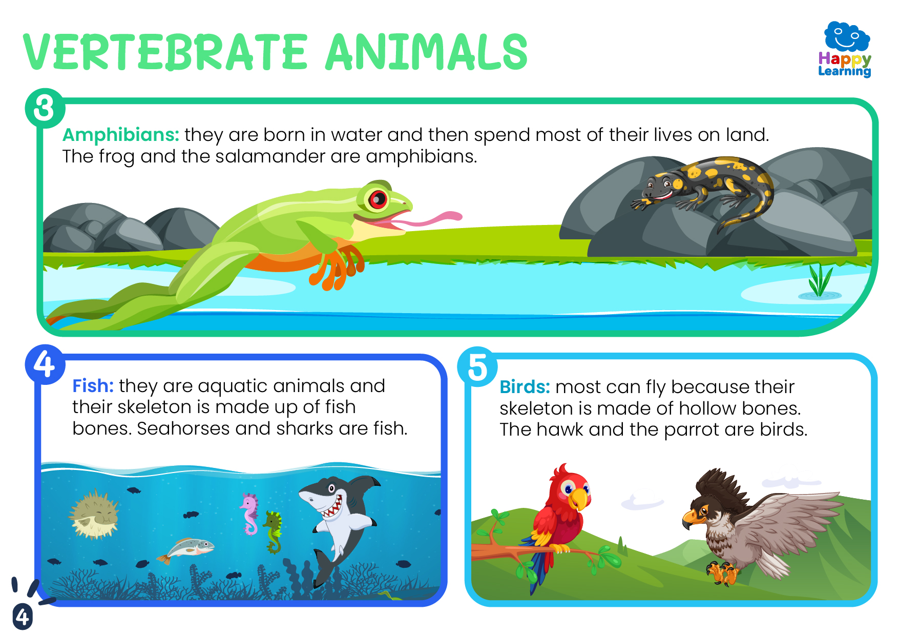 VERTEBRATES AND INVERTEBRATES-CN-F-023-VERTEBRADOS E INVERTEBRADOS ENG_04