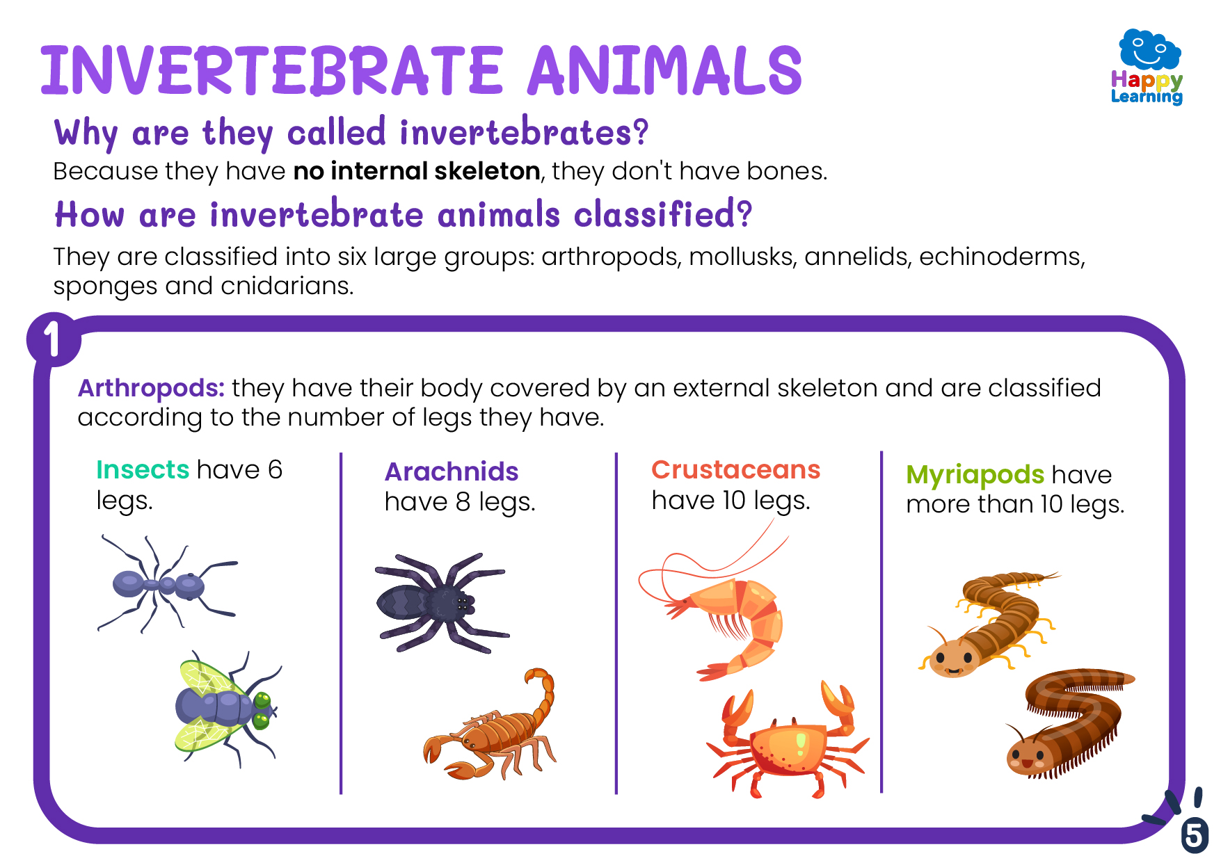 VERTEBRATES AND INVERTEBRATES-CN-F-023-VERTEBRADOS E INVERTEBRADOS ENG_05