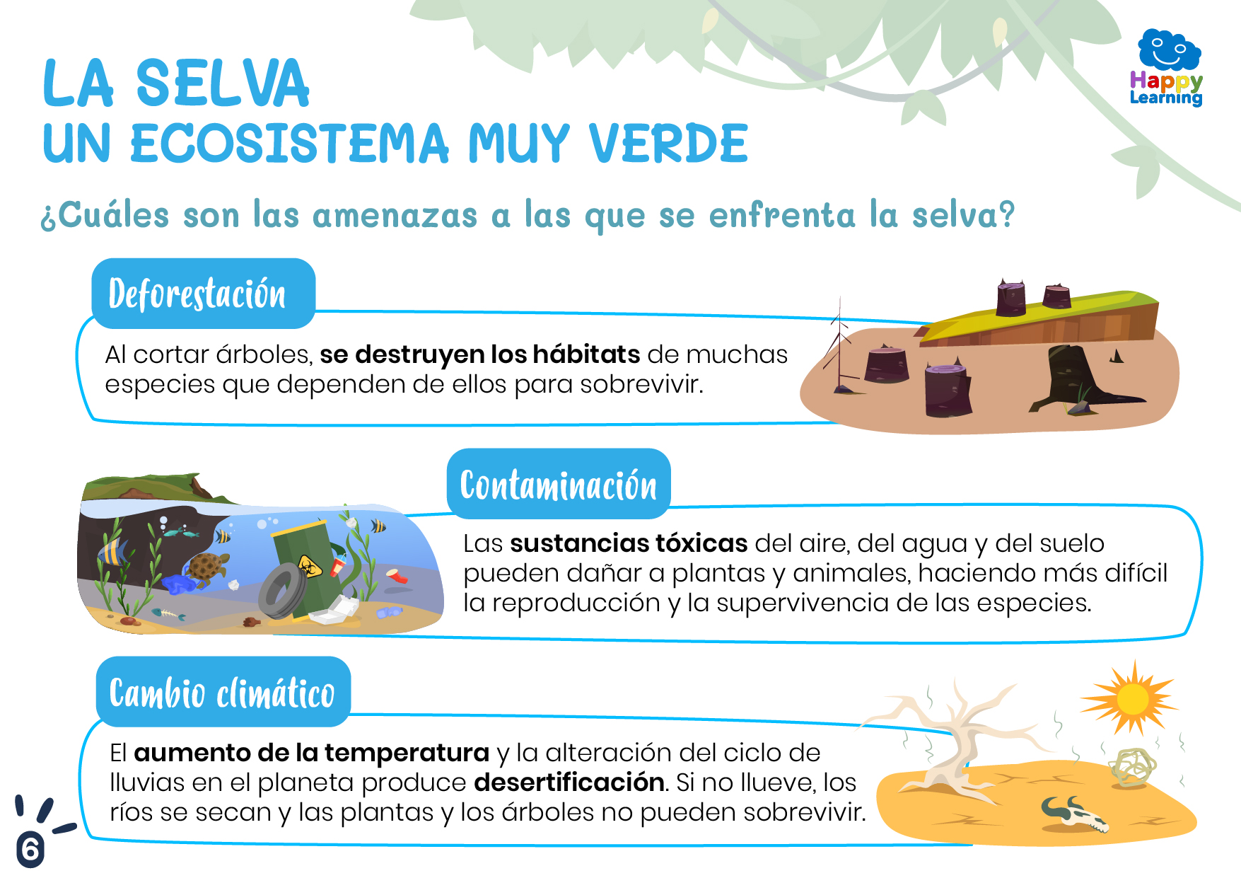 LA SELVA, UN ECOSISTEMA MUY VERDE-CN-F-103_LA_SELVA_UN_ECOSISTEMA_MUY_VERDE_06