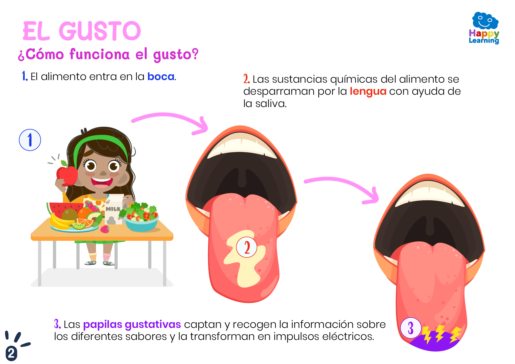 EL GUSTO-2-CN-F-029-EL GUSTO_02