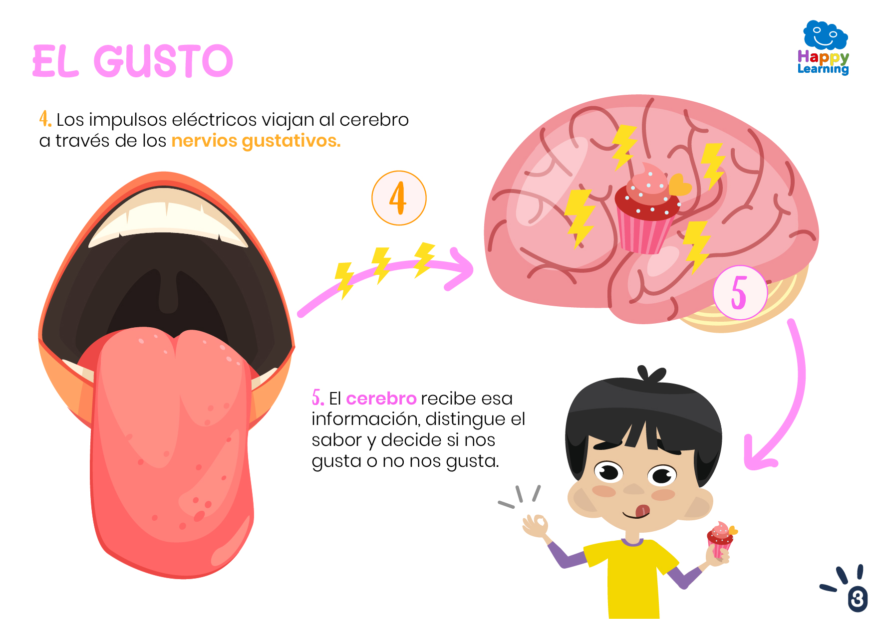 EL GUSTO-3-CN-F-029-EL GUSTO_03