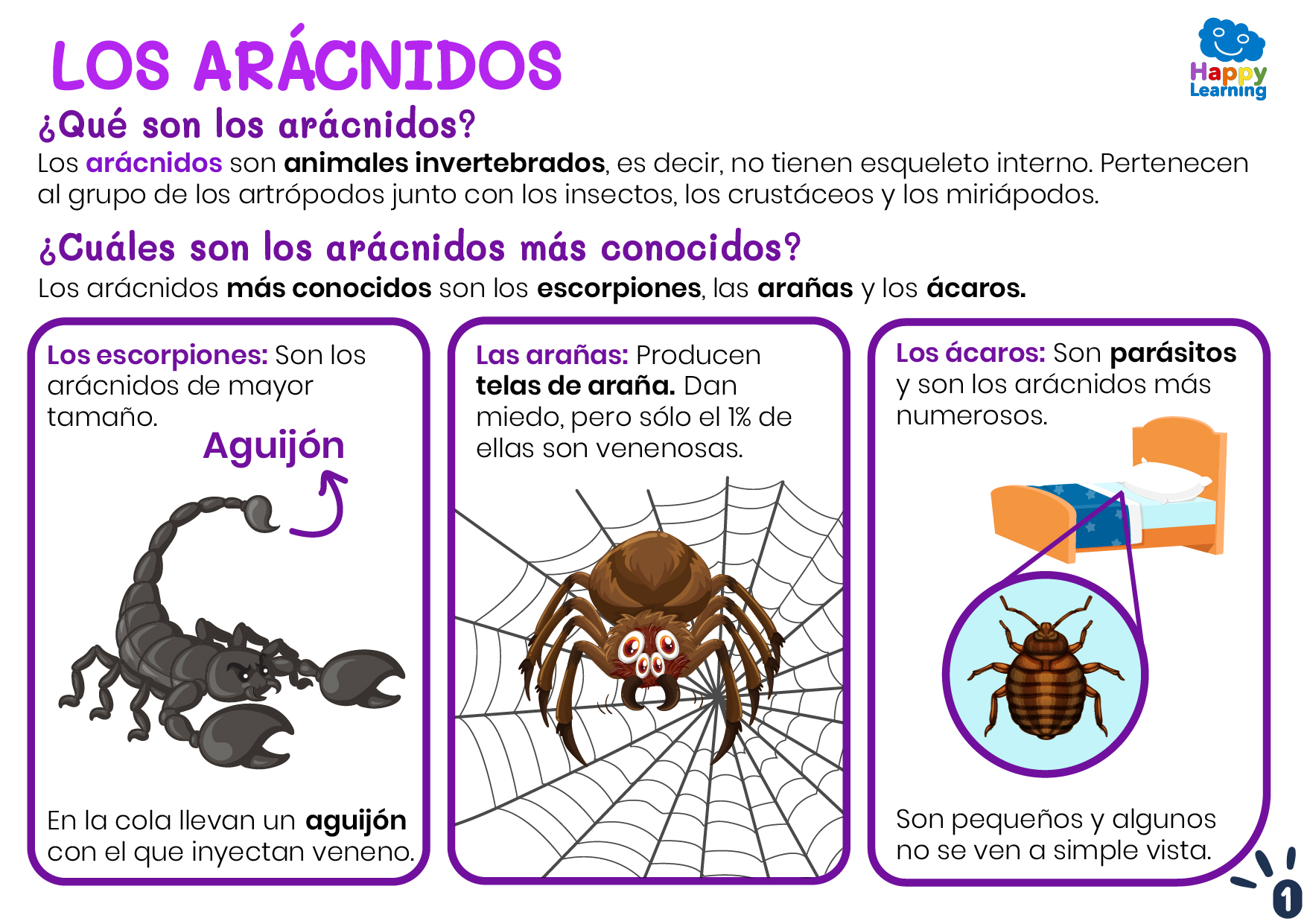 LOS ARÁCNIDOS-1-CN-F-020-LOS ARÁCNIDOS_01