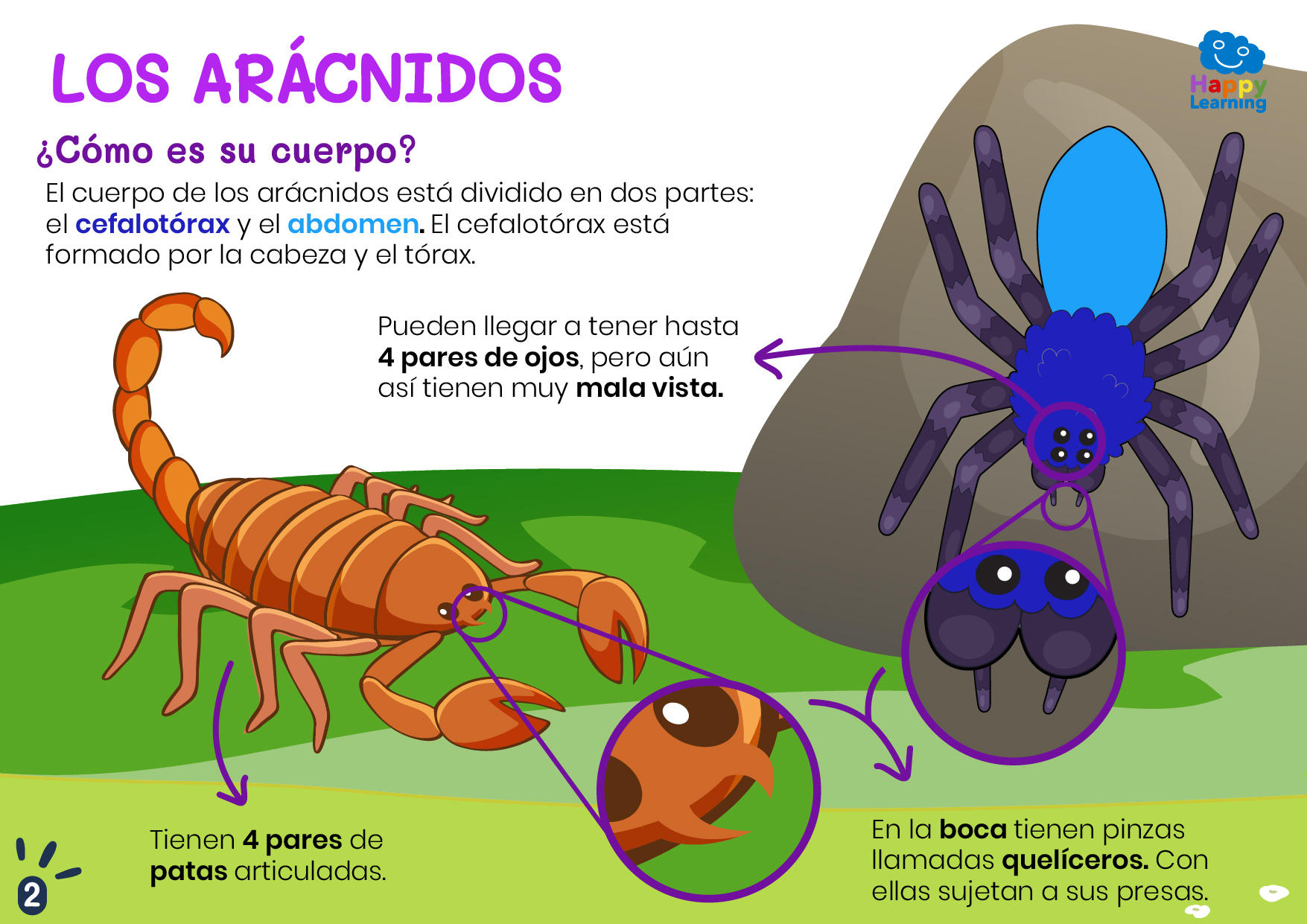 LOS ARÁCNIDOS-2-CN-F-020-LOS ARÁCNIDOS_02