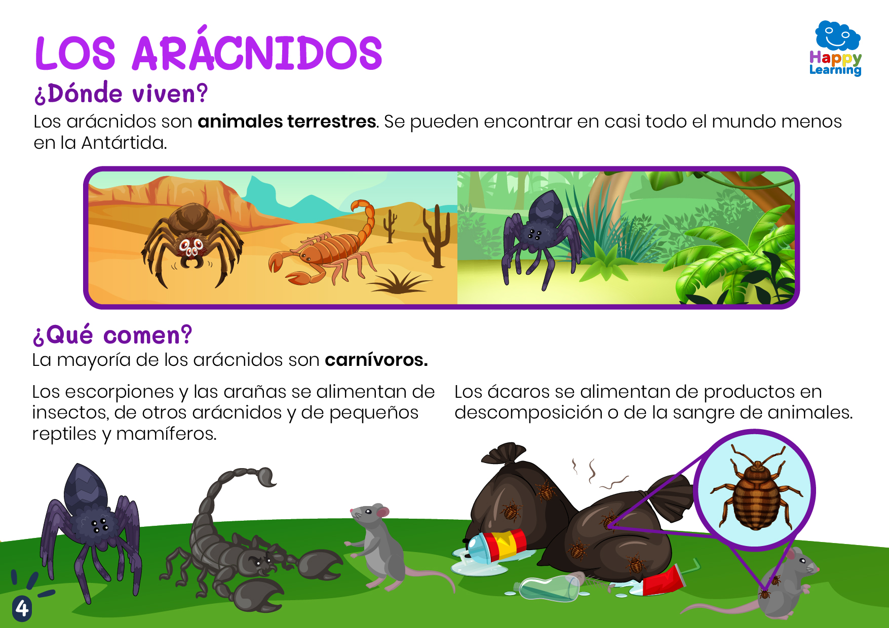 LOS ARÁCNIDOS-4-CN-F-020-LOS ARÁCNIDOS_04