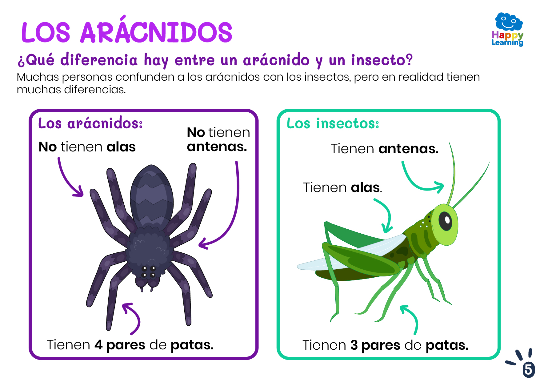 LOS ARÁCNIDOS-5-CN-F-020-LOS ARÁCNIDOS_05