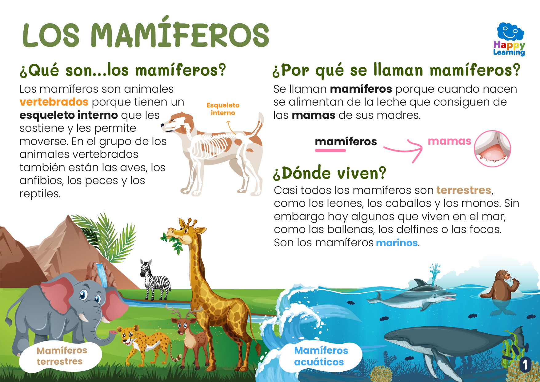 LOS MAMÍFEROS-CN-F-002-MAMIFEROS_01