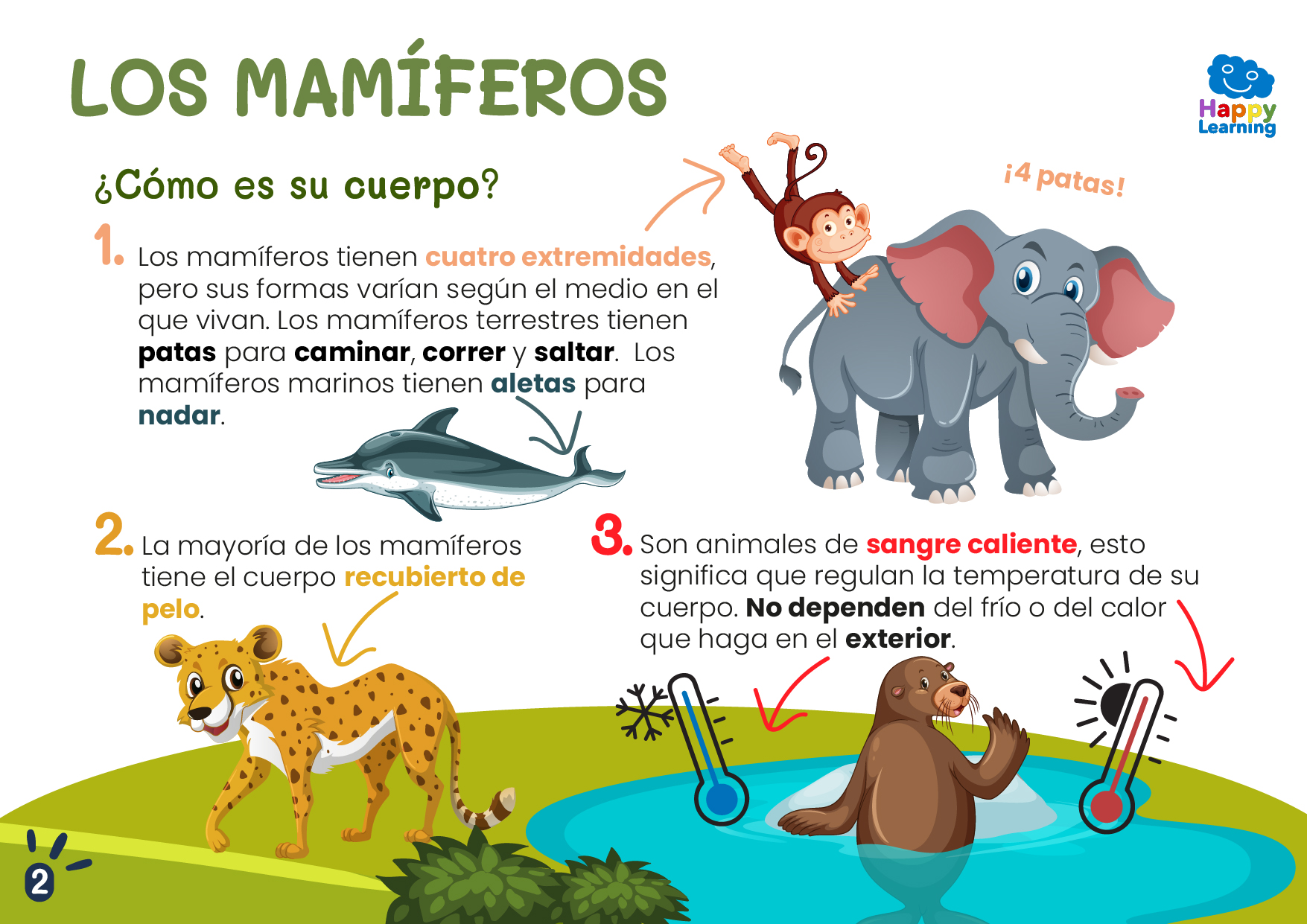 LOS MAMÍFEROS-CN-F-002-MAMIFEROS_02
