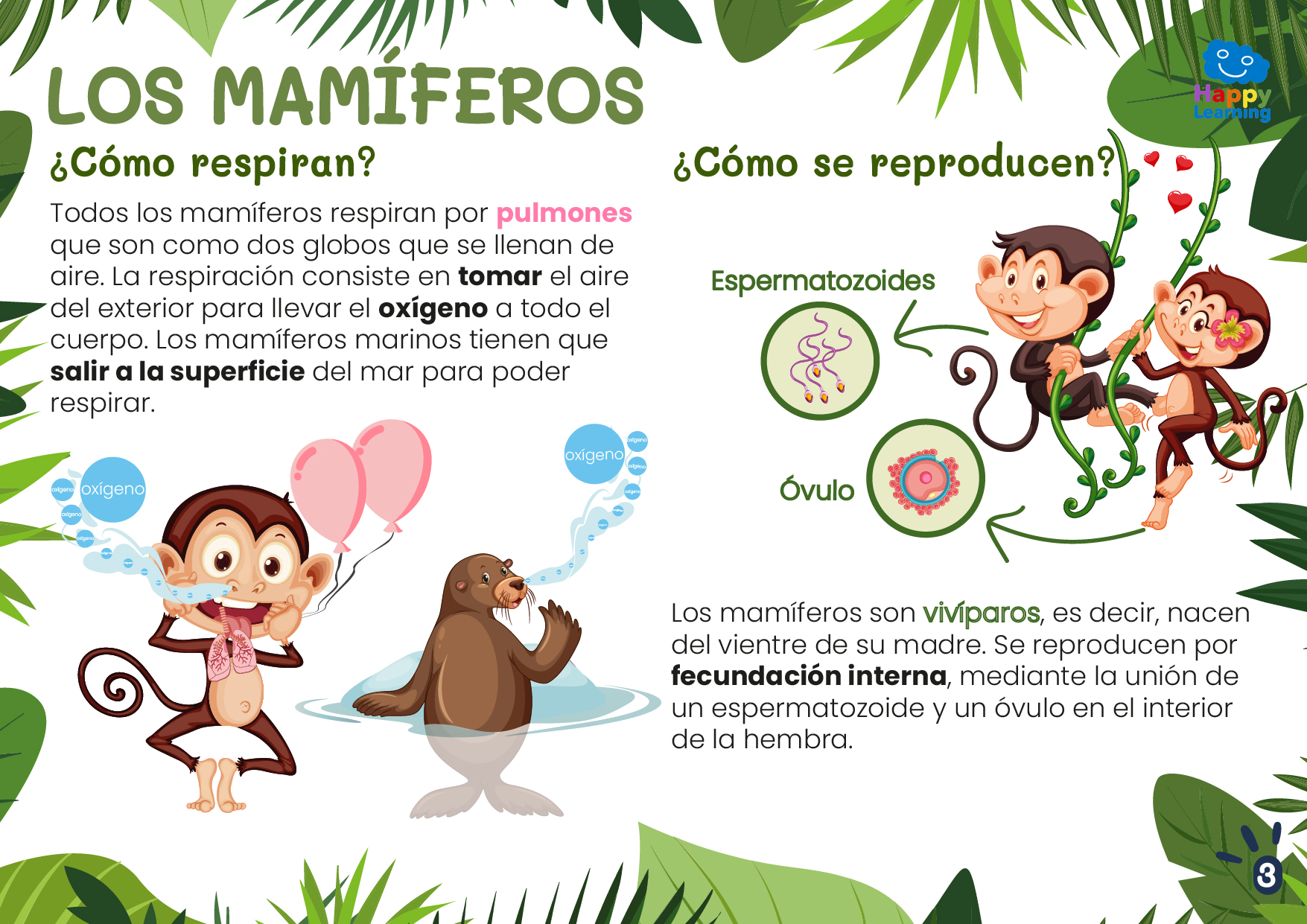 LOS MAMÍFEROS-CN-F-002-MAMIFEROS_03