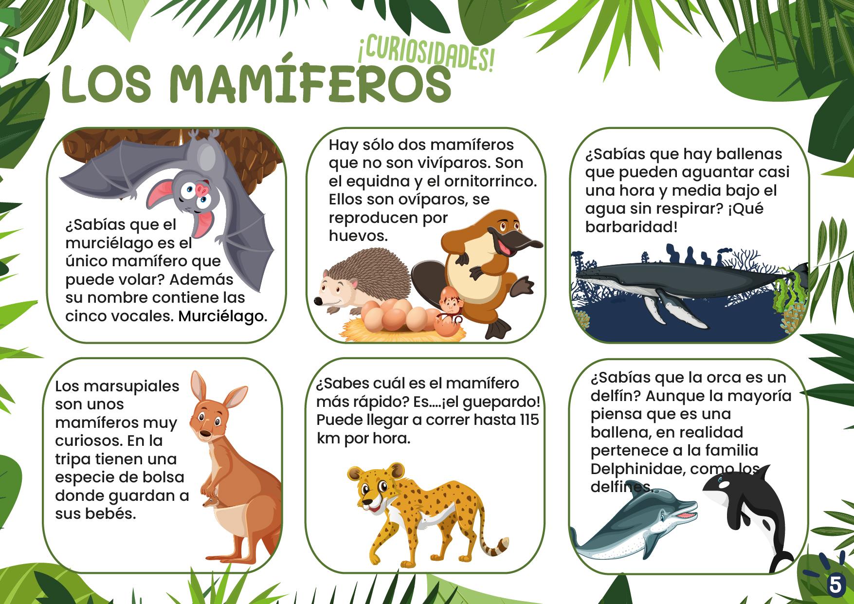 LOS MAMÍFEROS-CN-F-002-MAMIFEROS_05
