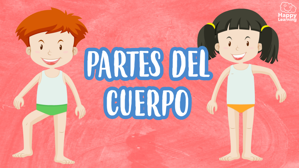 portada quiz partes del cuerpo