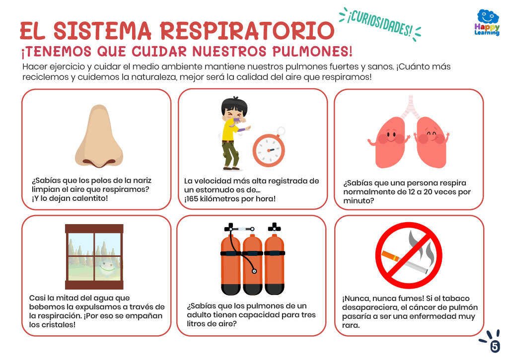 EL SISTEMA RESPIRATORIO-5-CN-F-008-SISTEMA_RESPIRATORIO_05