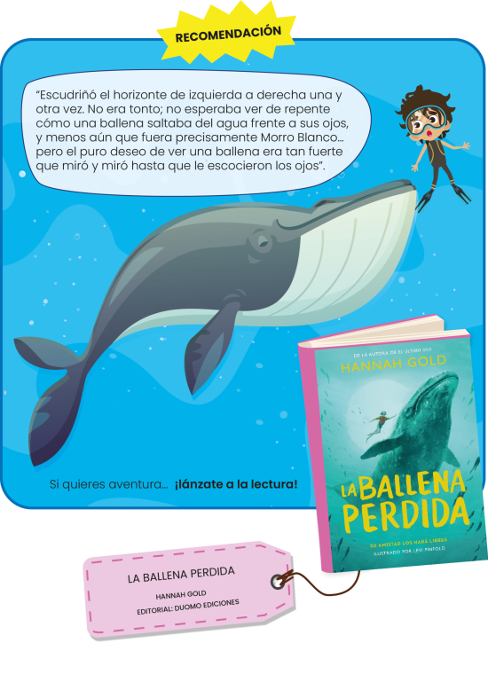 RECOMENDACIÓN CULTURAL RECOMENDACIÓN CULTURAL